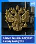 Работающим пенсионерам увеличат пенсии, самозанятые начнут получать выплаты по больничным, а справку об участии в СВО теперь можно будет оформить за пять минут