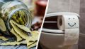 Лавровый лист в туалете: секрет чистоты и свежести
