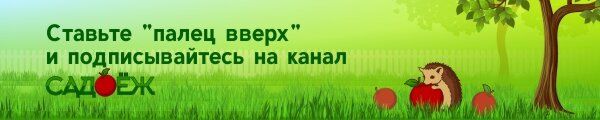 Агрессивные растения, которые могут испортить ваш огород