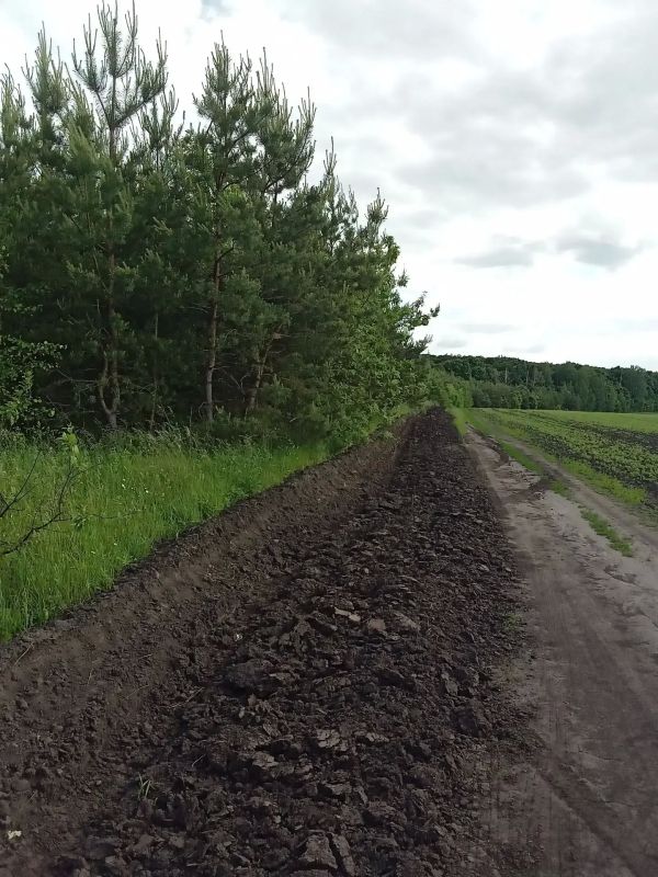 В Курской области продолжается патрулирование лесов В Курской области продолжается патрулирование лесов