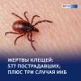 Сезон охоты…на людей: более 570 жертв укусов клещей