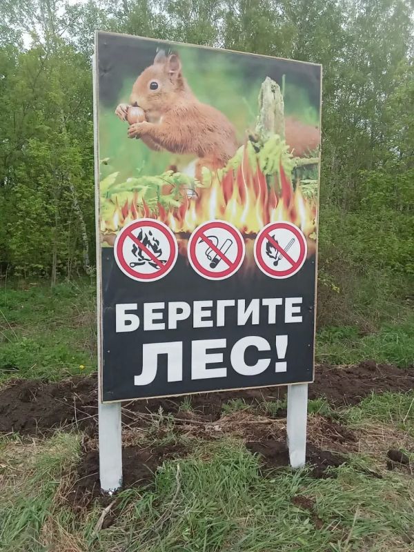 В Курской области продолжается патрулирование лесов В Курской области продолжается патрулирование лесов