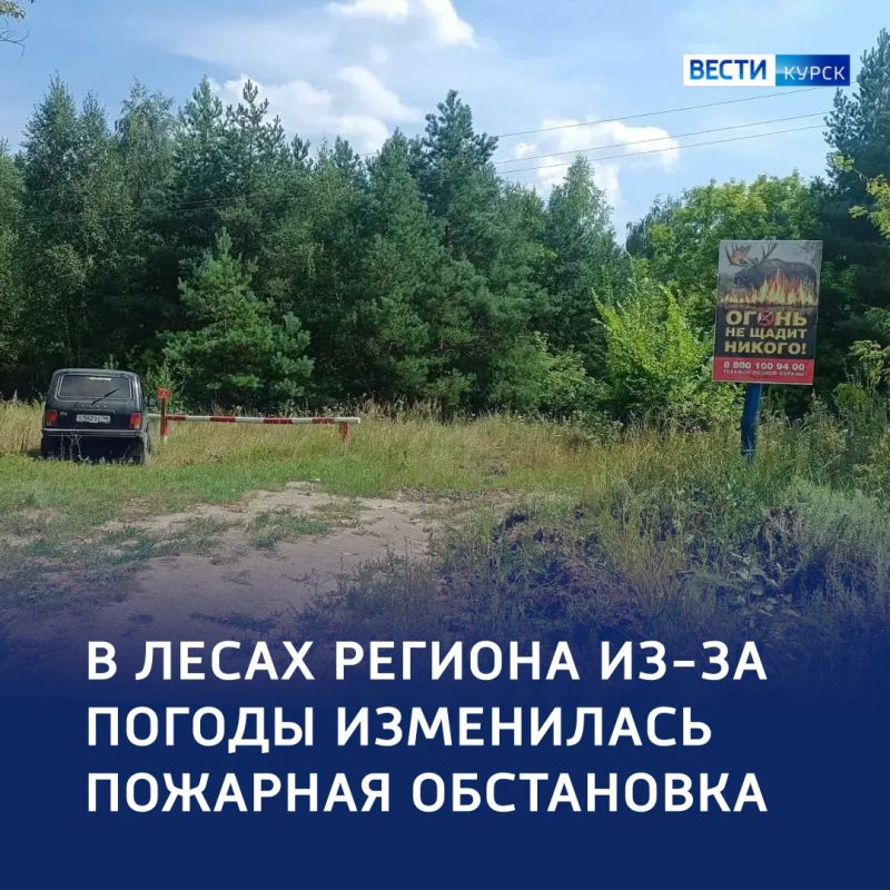 Патруль в лесу: в Курской области — 3-й класс пожарной опасности