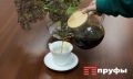 Эффективное решение для чистки чайника: накипь больше не проблема