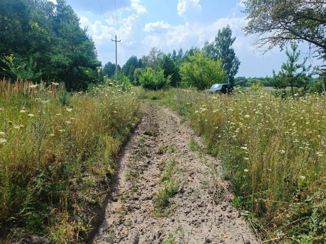 В Курской области продолжается патрулирование лесов В Курской области продолжается патрулирование лесов