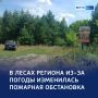 Патруль в лесу: в Курской области — 3-й класс пожарной опасности