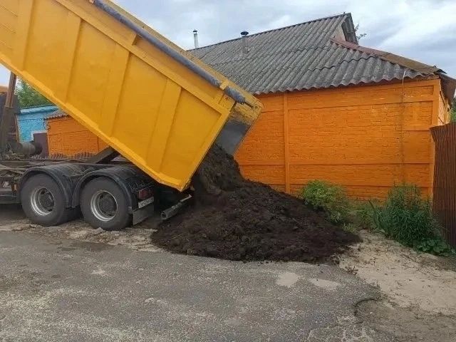 «Мелодия роста» для юных курян «Мелодия роста» для юных курян