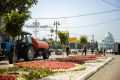 жаркую погоду возрастает риск гибели цветников и деревьев