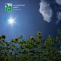 Здравствуйте!. За окном малооблачно, термометры днём поднимутся до +33°C, без осадков, ночью +22°C