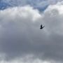 Сегодня, 6 августа, в Курске вновь было громко