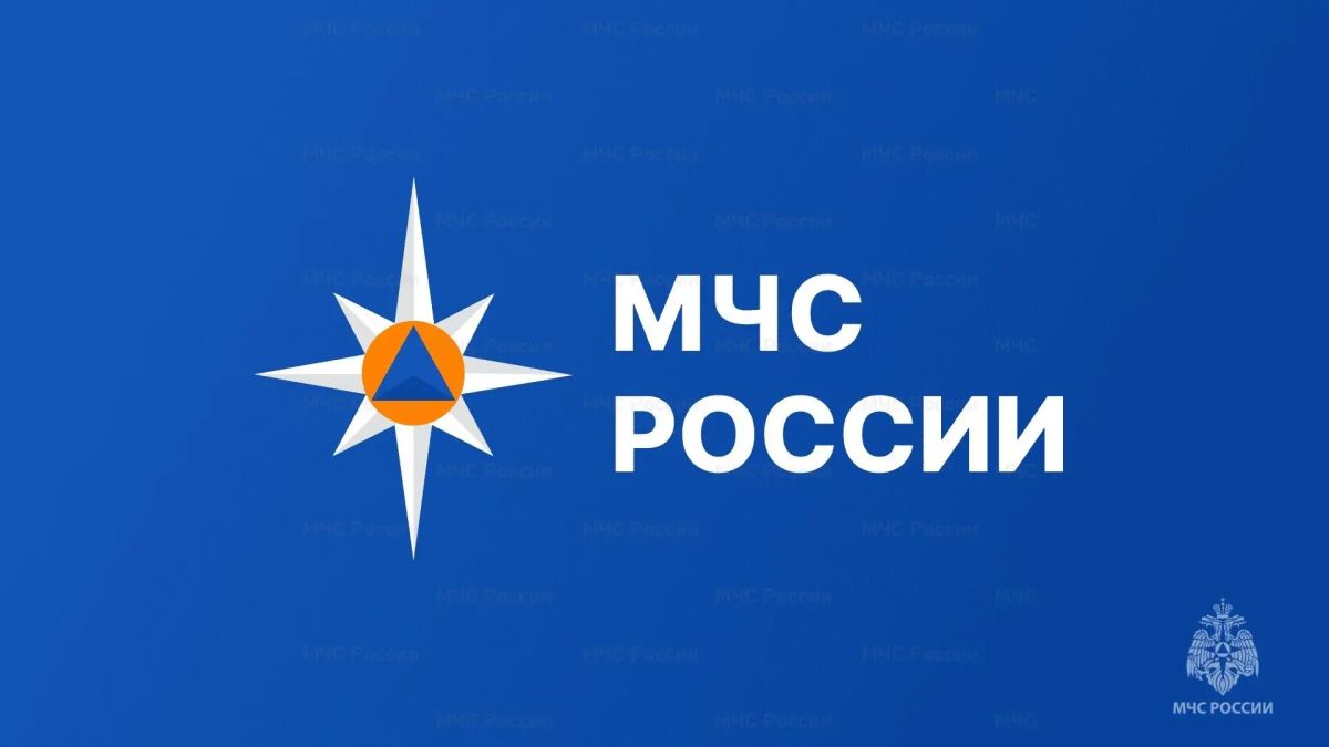 ГУ МЧС России по Курской области информирует: