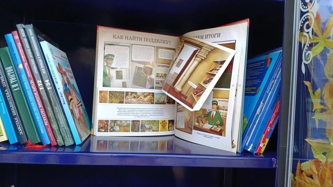 В Курске стартовал проект «Книжные шкафы»