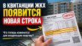 Платежки ЖКХ в августе: что ждать от новых изменений?