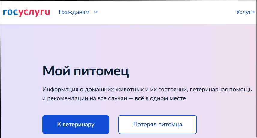 Регистрация домашних животных на Госуслугах: новые возможности для владельцев