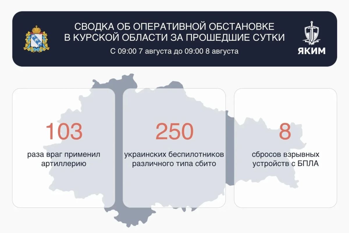 В Курской области средства ПВО сбили за 24 часа 250 украинских БПЛА