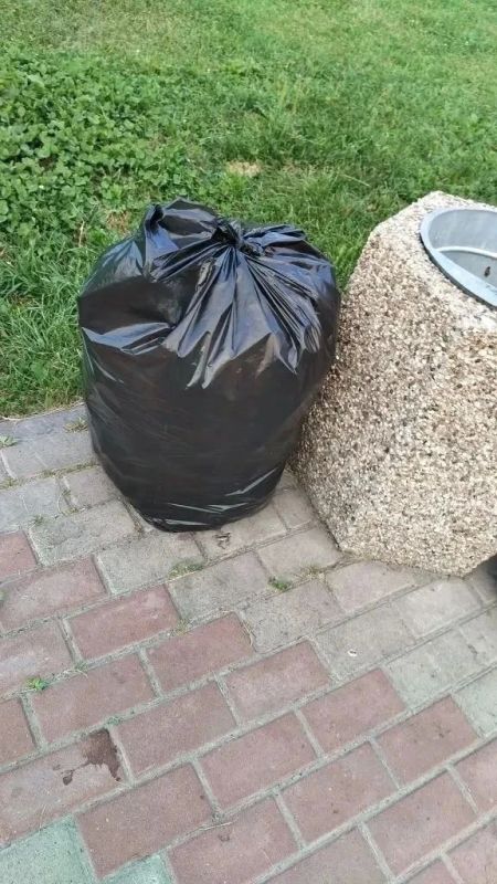 За неделю из парков и скверов Курска убрали 68 тонн мусора За неделю из парков и скверов Курска убрали 68 тонн мусора