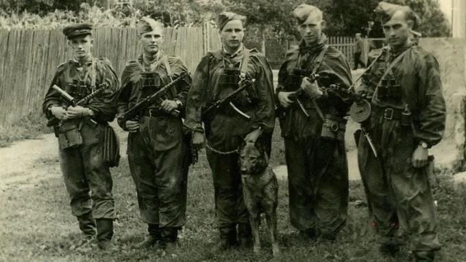 10 августа. 1944. Началась чекистско-войсковая операция по очистке Львовской области от бандеровцев