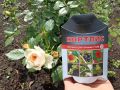 Новый взгляд на эффективное средство против тли: как «Кортлис» справляется с вредителем