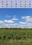 Погода на текущую неделю. В Центральной России летняя погода продержится до вторника включительно