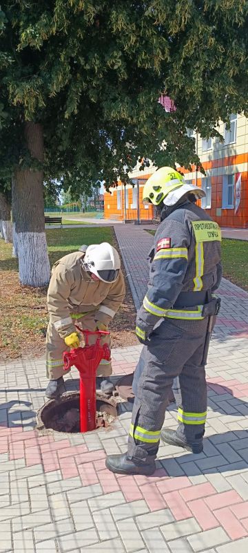 Безопасность школы к новому учебному году Безопасность школы к новому учебному году