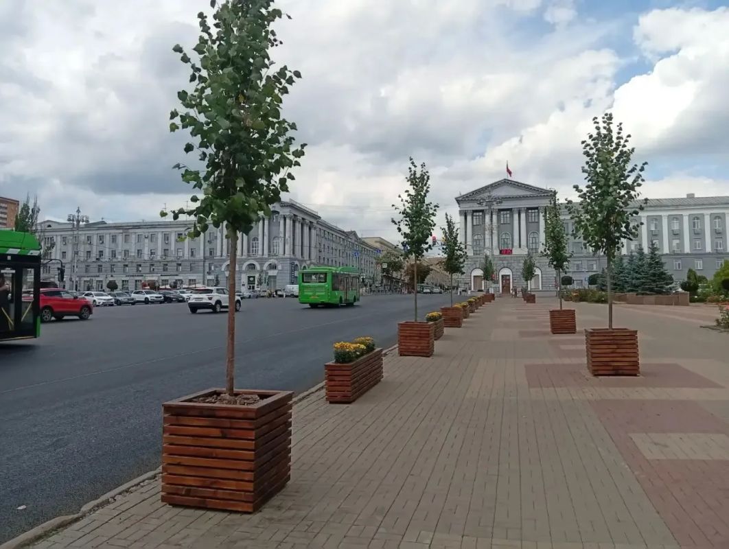 Из кашпо липы пересадят осенью