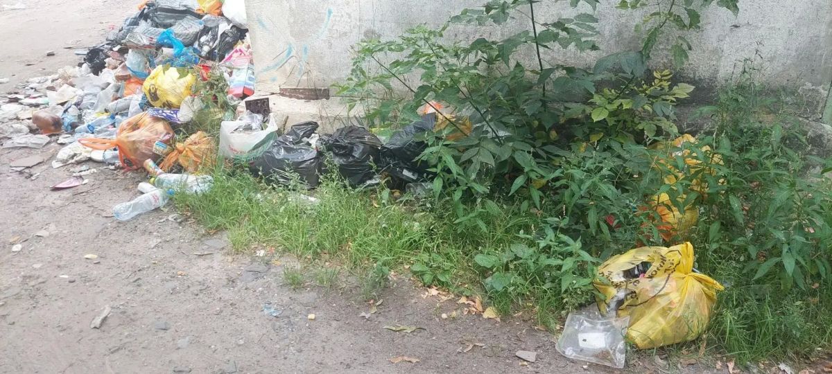В Курске на КЗТЗ завалили мусором трансформаторную подстанцию В Курске на КЗТЗ завалили мусором трансформаторную подстанцию