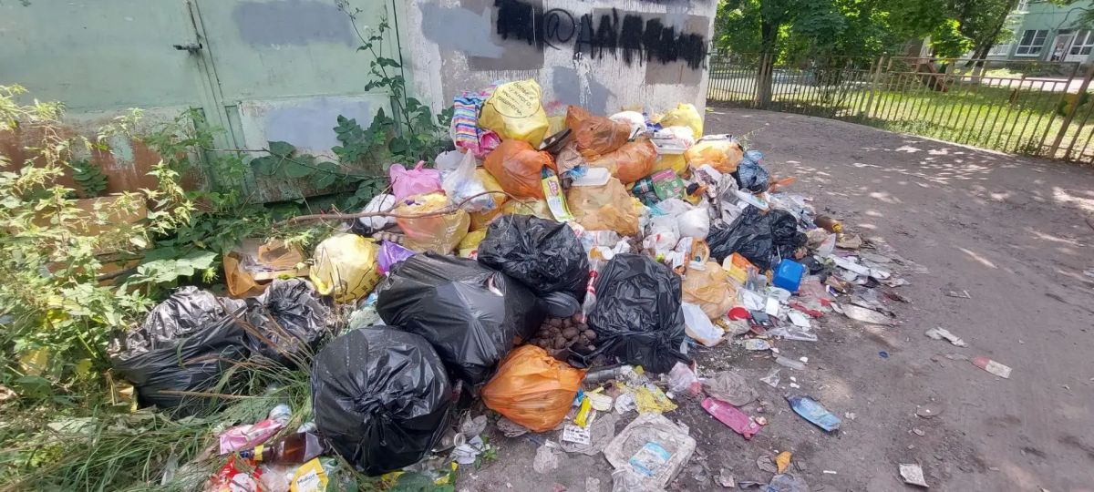 В Курске на КЗТЗ завалили мусором трансформаторную подстанцию В Курске на КЗТЗ завалили мусором трансформаторную подстанцию