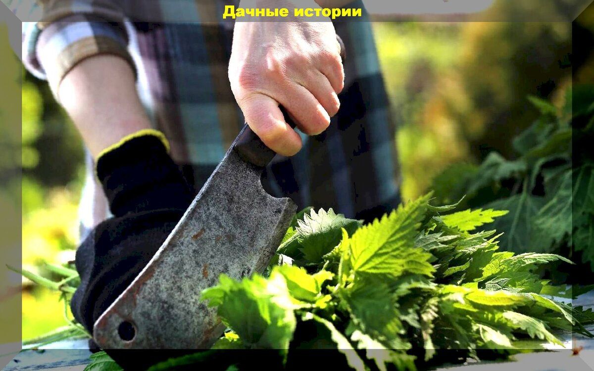 Как повысить урожайность овощей в теплице простыми методами