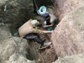 В Курске в Знаменской роще обнаружили останки 135 человек, 90 из них — дети