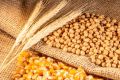 Увеличен экспорт продукции агропромышленного комплекса из Курской области