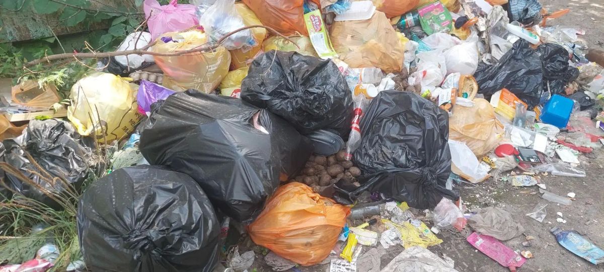 В Курске на КЗТЗ завалили мусором трансформаторную подстанцию В Курске на КЗТЗ завалили мусором трансформаторную подстанцию