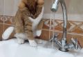 В Курске 13 августа отключат воду на десятках улиц