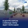 Временная прописка: липы в кашпо украсили центр города