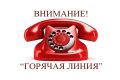 В период с 10 по 21 августа 2026 года специалистами Управления Роспотребнадзора по Курской области и ФБУЗ «Центр гигиены и эпидемиологии в Курской области» будет организовано консультирование граждан по вопросам качества и...