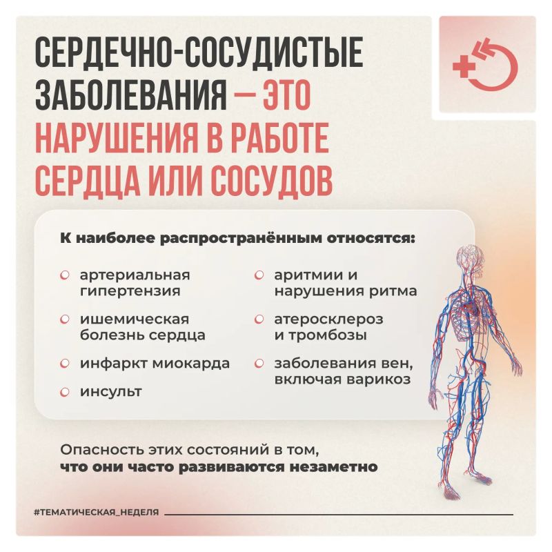 Здоровье сердца зависит от эластичности сосудов Здоровье сердца зависит от эластичности сосудов
