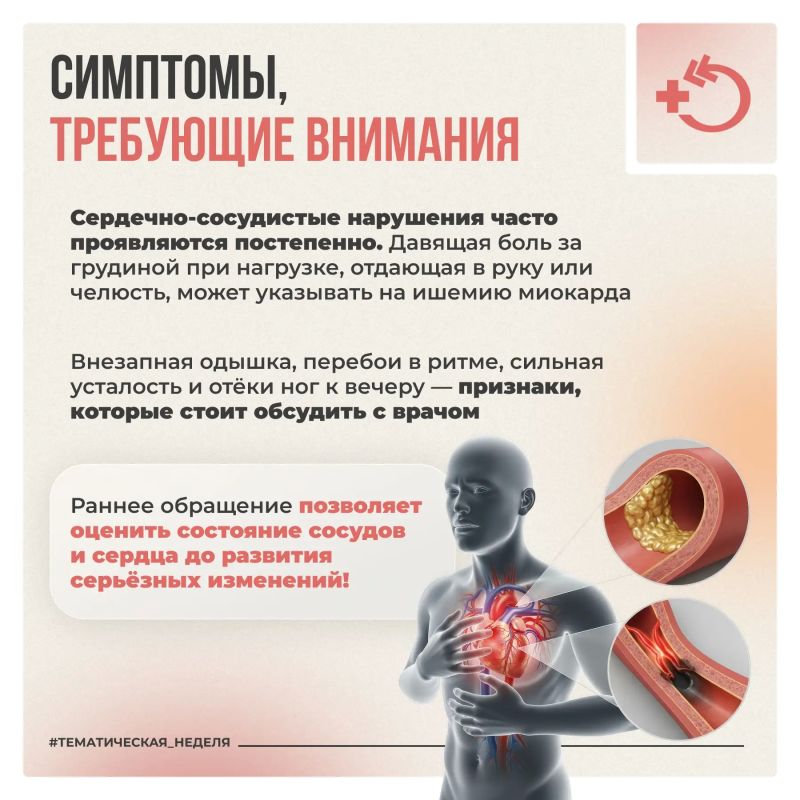 Здоровье сердца зависит от эластичности сосудов Здоровье сердца зависит от эластичности сосудов
