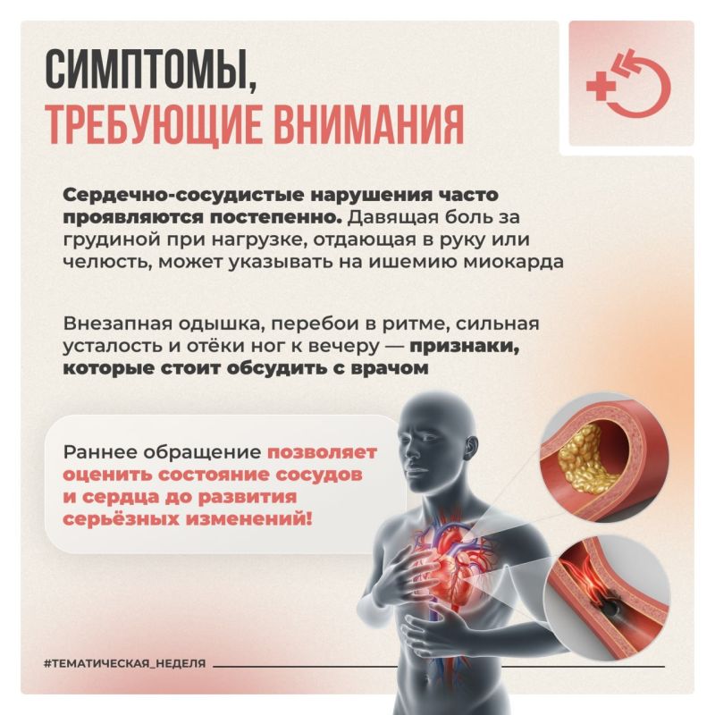 Здоровье сердца зависит от эластичности сосудов Здоровье сердца зависит от эластичности сосудов