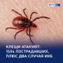 Угроза рядом: более 1530 жертв укусов клещей