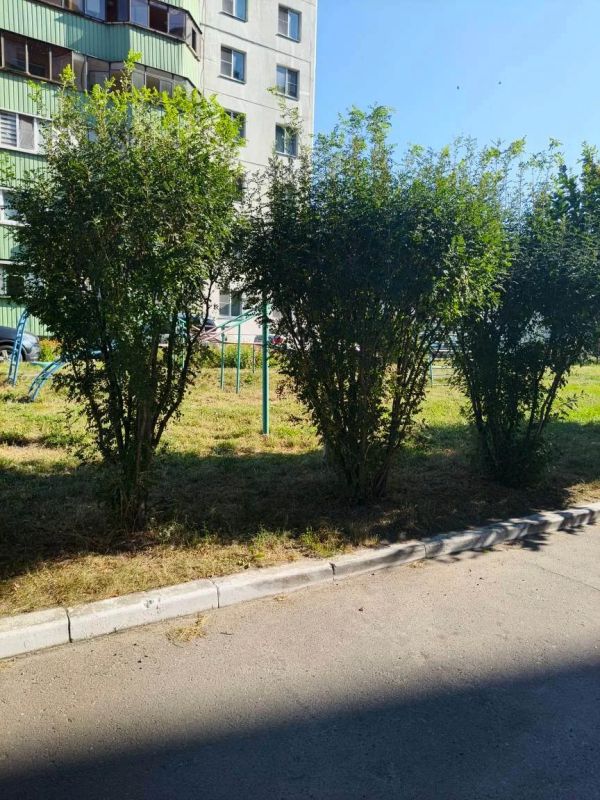 В ходе рассмотрения обращений жителей по поручению государственной жилищной инспекции Курской области ООО УК "Соловушка" выполнены работы по покосу сорной растительности на придомовых территориях многоквартирных домов №3 по...