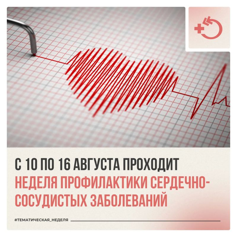Здоровье сердца зависит от эластичности сосудов