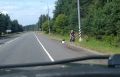 Необычные находки на обочине: откуда берется черника в зимний период?