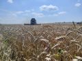 Погожий день год кормит. Уборочная страда продолжается, и земледельцы используют буквально каждую минуту, чтобы наполнить закрома новым урожаем