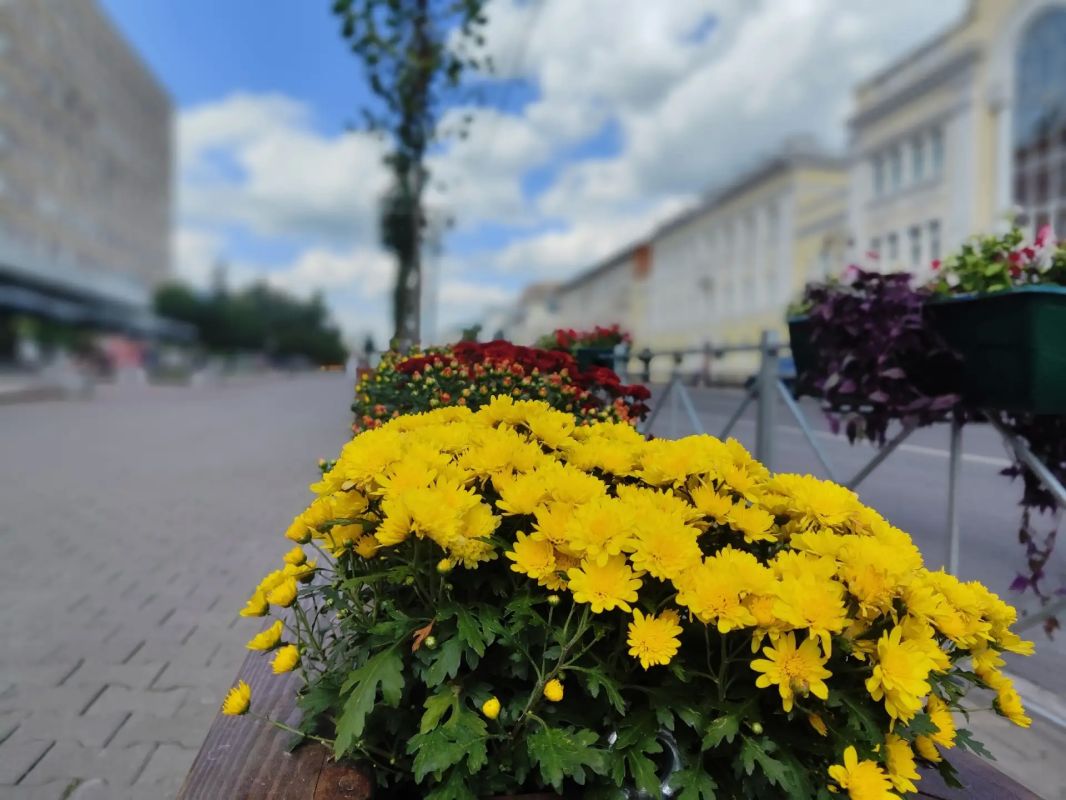 В Курске 16 августа воздух прогреется до +26 градусов
