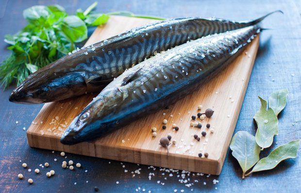 Удобные рецепты засолки скумбрии, которые понравятся каждому