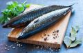 Удобные рецепты засолки скумбрии, которые понравятся каждому