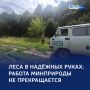 «Зелёный щит» Курской области: итоги рейдов и цифры нарушений