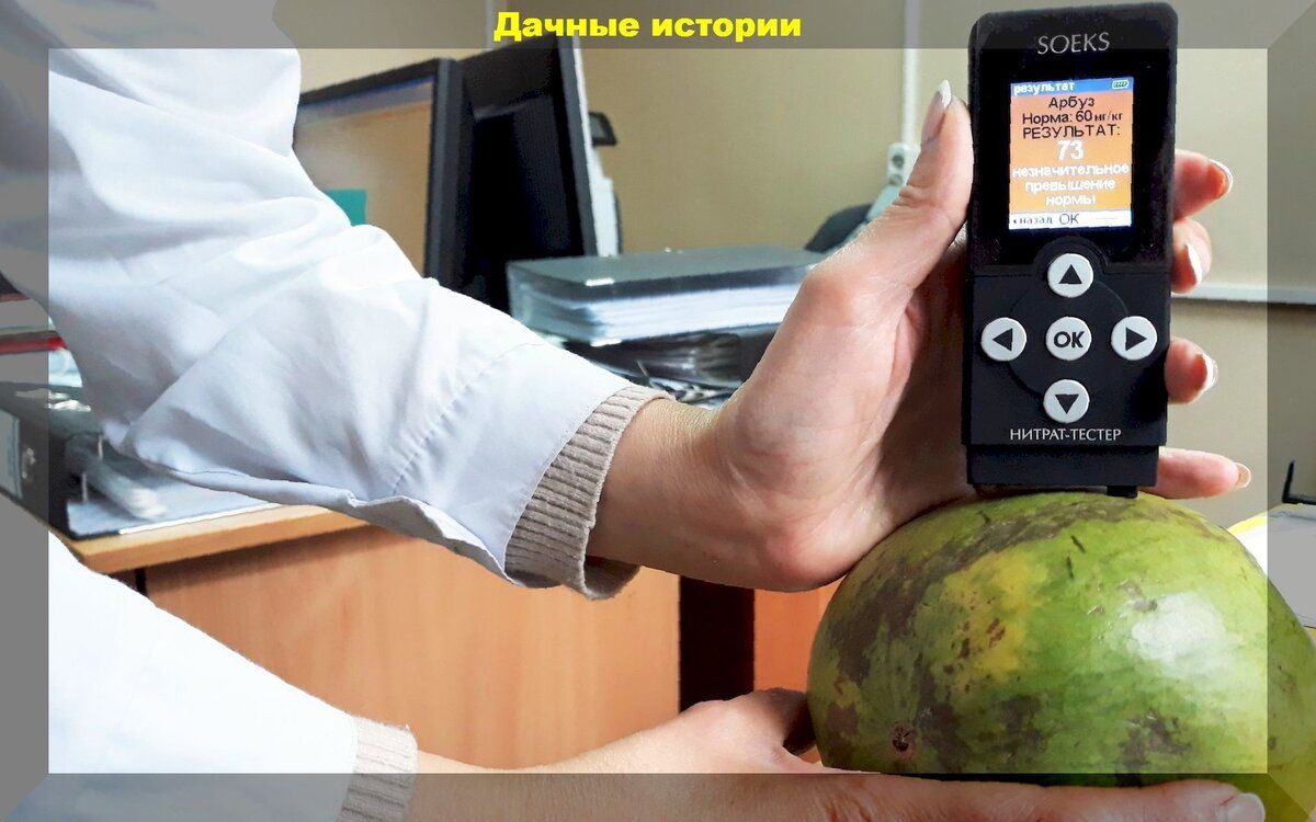 Секреты выращивания безнитратных овощей: Как улучшить сбор и сохранить здоровье