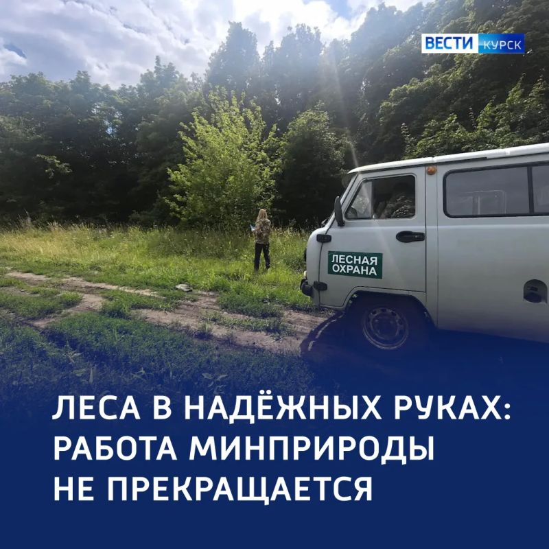 «Зелёный щит» Курской области: итоги рейдов и цифры нарушений