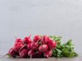 Редис: как добиться сладости и сочности в осеннем урожае