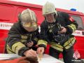 В Курской области за сутки произошло 13 пожаров и 4 ДТП